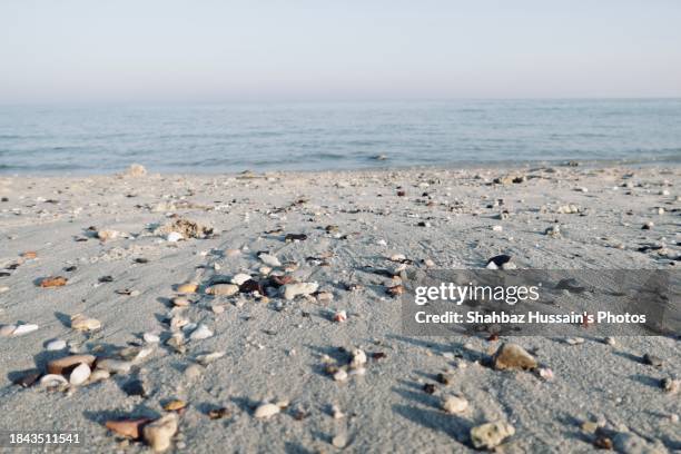 kuwait beach rocks - kuwait landscape photos et images de collection