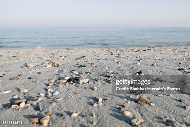 kuwait beach rocks - kuwait landscape stock pictures, royalty-free photos & images