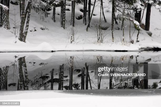 Winter image from the Tyresta national park south-west of Stockholm 08 January 2006. For the last week Sweden has from the south and 1750 km up to...