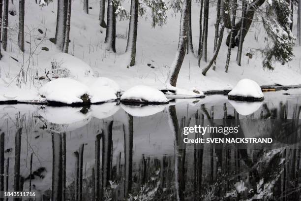 Winter image from the Tyresta national park south-west of Stockholm 08 January 2006. For the last week, Sweden has, from the south and 1750 km up...