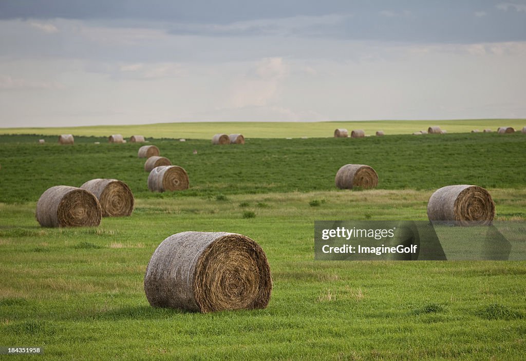 Hay Bales auf der Prairie