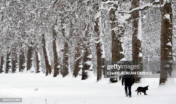 Man takes his dog for a walk beside the snow-covered trees in St James' Park near Buckingham Palace, in London, on February 2, 2009. A blanket of...