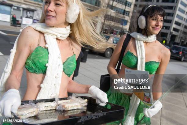 Lettuce Ladies Ashley Byrne and Jessica Levin of People for the Ethical Treatment of Animals , wear bikinis in below freezing weather as they hand...