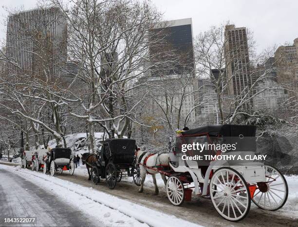 Row of handsome cabs make their way through Central Park December 20 the morning after a winter storm hit New York City dumping nearly 5 inches of...