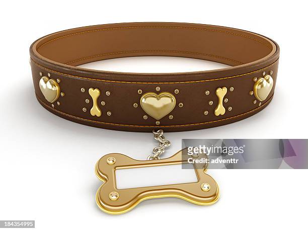 dog collar - collar stock pictures, royalty-free photos & images