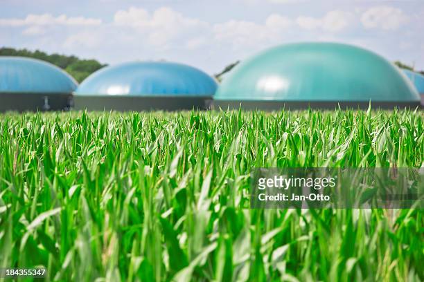 biogas fahren energie - biomasse stock-fotos und bilder