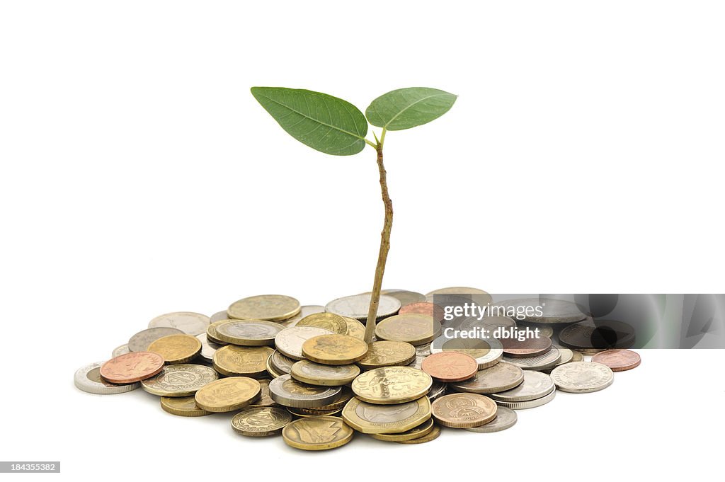 Crescimento de investimento