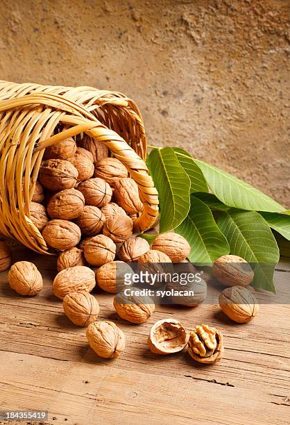 basketful of walnuts - syolacan stock pictures, royalty-free photos & images