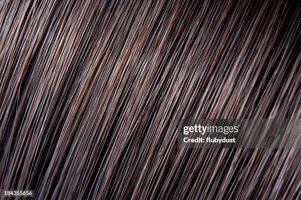 hair shine - hair texture stock pictures, royalty-free photos & images