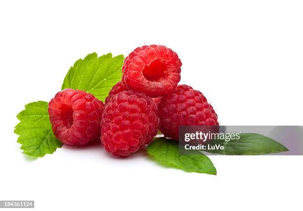 isolate close-up of fresh raspberries - hallon bildbanksfoton och bilder