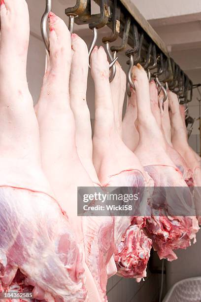 schwein hüfte - schweinehälften stock-fotos und bilder
