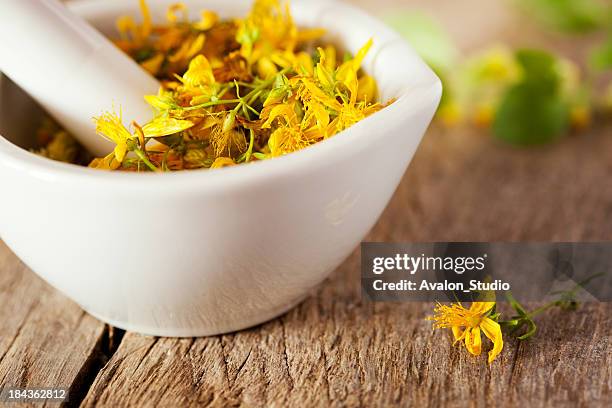 hypericum perforatum - st-johns-wort stock pictures, royalty-free photos & images