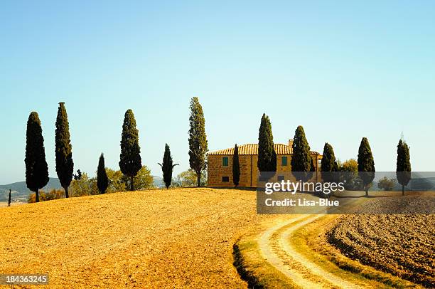 farmhouse and cypress trees - cypress tree stock pictures, royalty-free photos & images