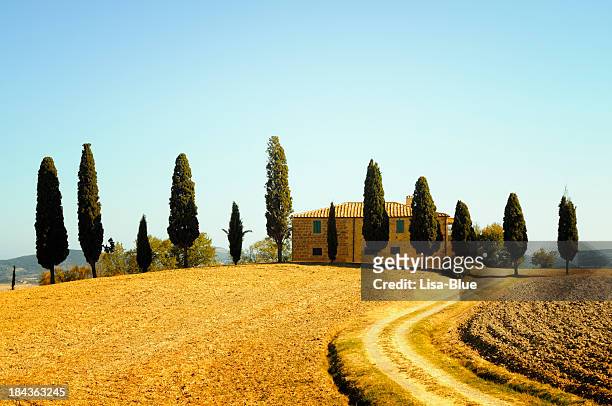 farmhouse and cypress trees - italian cypress bildbanksfoton och bilder