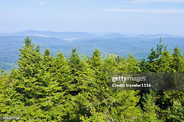 spruce knob in west virginia, usa - spruce knob mountain stock pictures, royalty-free photos & images