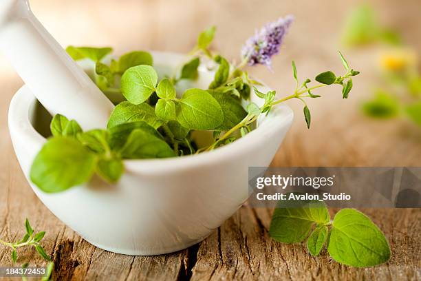 erbe della provenza - mortaio con pestello foto e immagini stock