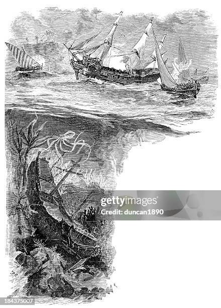 attacked by pirates - macaque stock illustrations