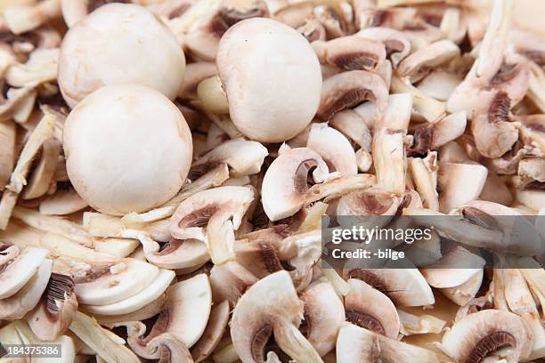 mushroom - white mushroom stock pictures, royalty-free photos & images