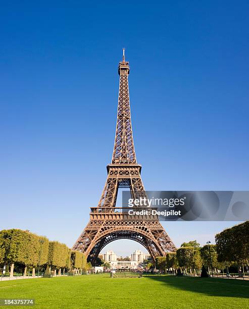 the eiffel tower in paris france - la tour eiffel stockfoto's en -beelden
