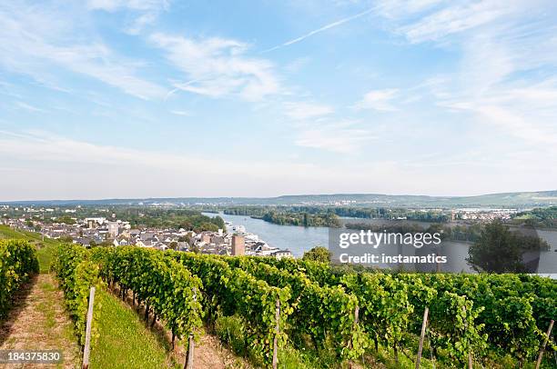 rudesheim in germany - rudesheim stock pictures, royalty-free photos & images