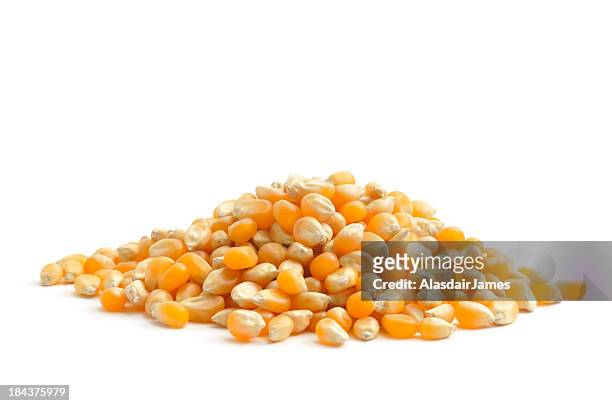 corn - corn stock pictures, royalty-free photos & images