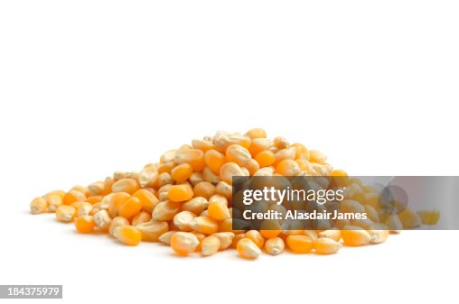 Corn Corn