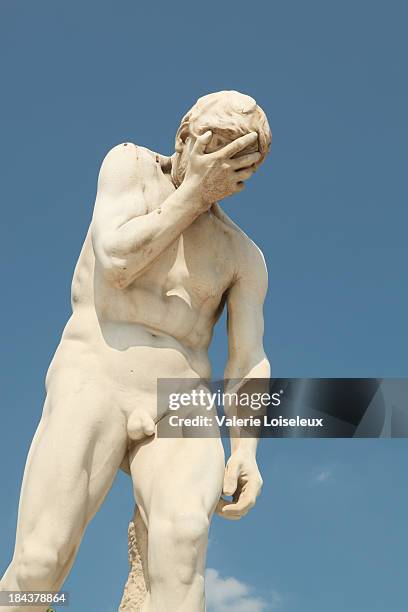 homme nu dans la sculpture - statue photos et images de collection