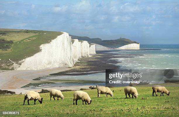 inglés idyll - seven sisters acantilado fotografías e imágenes de stock