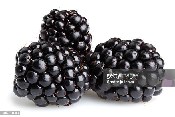 ブラックベリー - blackberry ストックフォトと画像