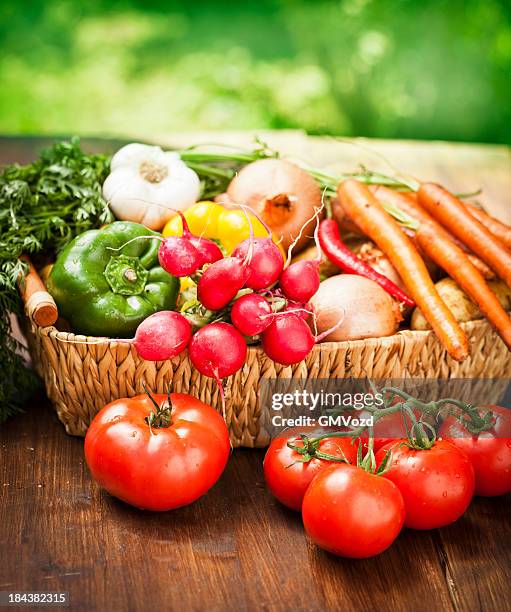 korb mit bio-gemüse frisch vom markt - colorful vegetables summer stock-fotos und bilder