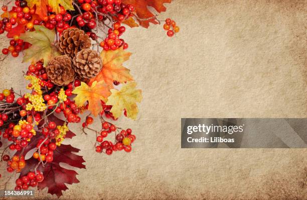 autumn wreath - autumn wreath stock pictures, royalty-free photos & images