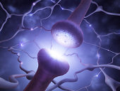 Neuron network