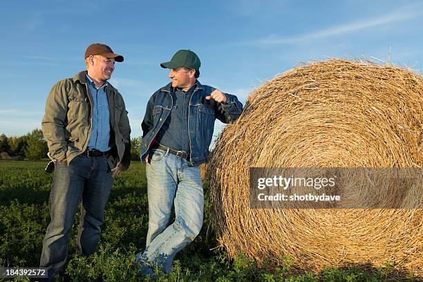 friendly farmers - hooiberg stockfoto's en -beelden