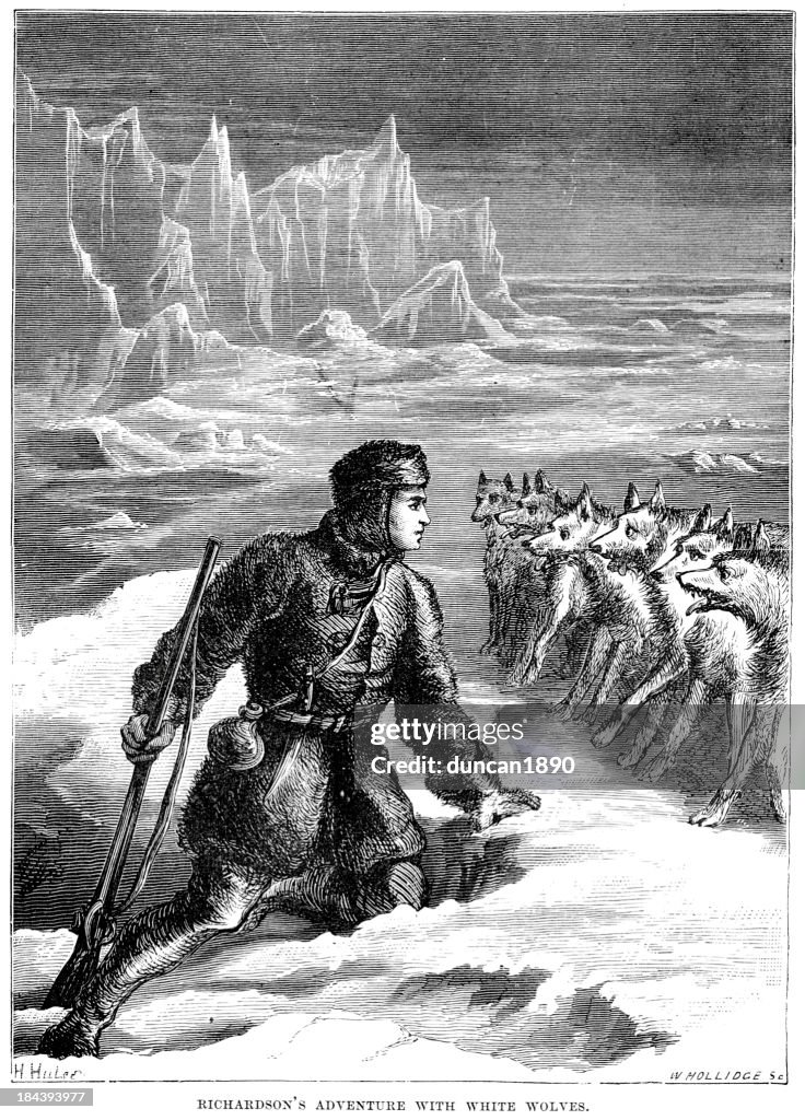 Richardson's adventure with white wolves