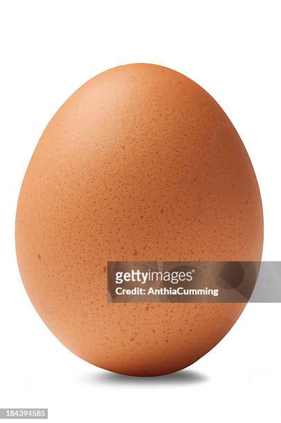 single brown chicken egg isolated on white background - animal egg stock pictures, royalty-free photos & images