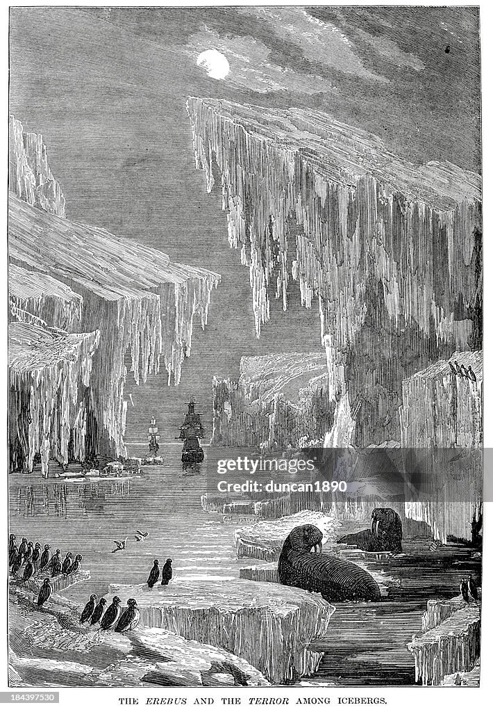 The Erebus and Terror amoung icebergs