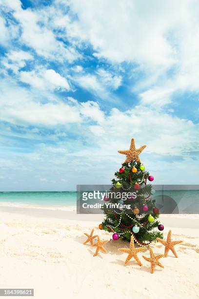 christmas tree on tropical caribbean beach in winter holiday vacation - caribbean christmas 個照片及圖片檔