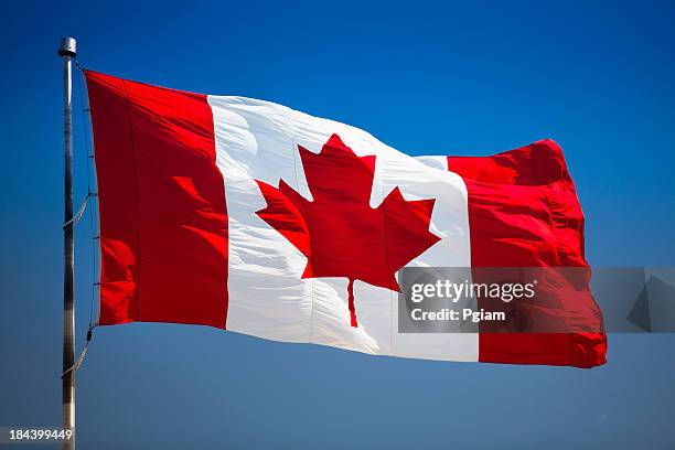 kanada-symbol auf einem auf der fahnenstange - canadian stock-fotos und bilder