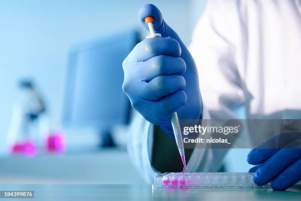 lab experiment - microplate stock pictures, royalty-free photos & images