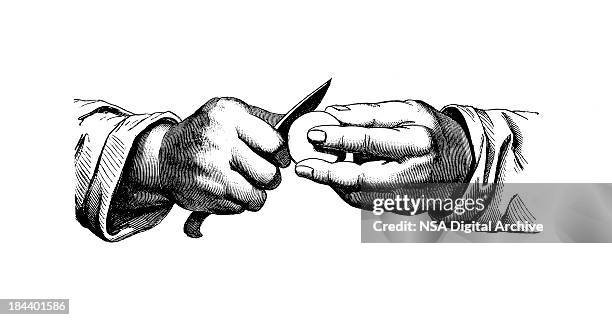ilustraciones, imágenes clip art, dibujos animados e iconos de stock de preparación de champiñones/antigüedades ilustraciones culinario - grabado técnica de ilustración