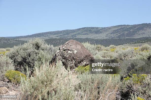 lava boulder with lichens in sage brush - sagebrush stock pictures, royalty-free photos & images