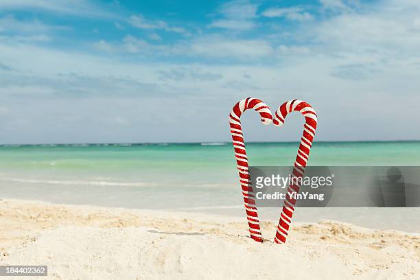 christmas candy canes heart on tropical caribbean sandy beach hz - caribbean christmas 個照片及圖片檔
