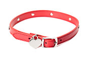 A colored dog collar with blank id tag