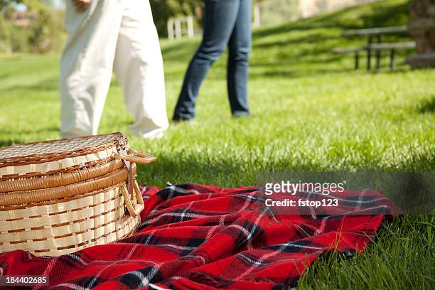 cesta de picnic en rojo manta de baile en el parque. - manta de picnic fotografías e imágenes de stock