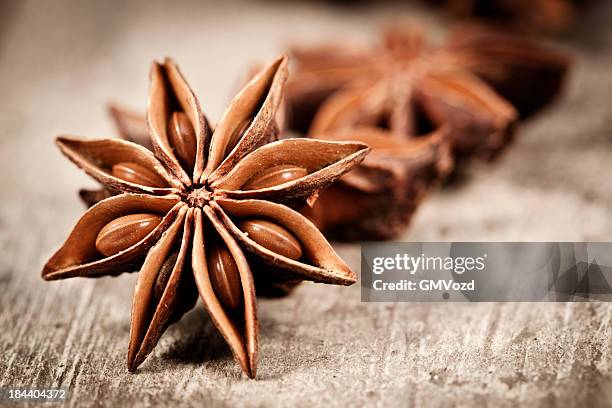 star anise - anise plant stock pictures, royalty-free photos & images