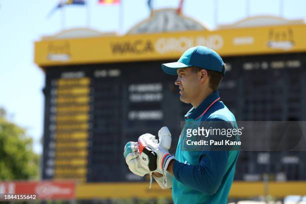 Alex Carey looks on during an Australian nets session the at the WACA on December 10, 2023 in Perth, Australia.