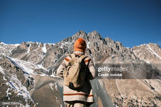 female tourist is hiking and looking at view in winter mountains - be boundless summit stock pictures, royalty-free photos & images