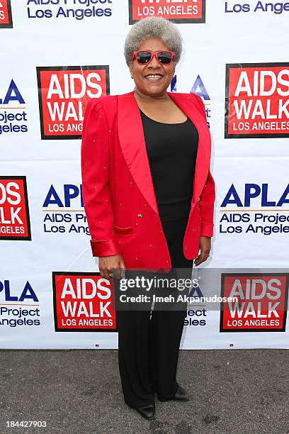 Singer/actress Terri White attends the 29th Annual AIDS Walk LA on October 13, 2013 in West Hollywood, California.
