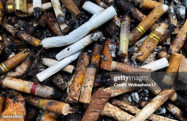Cicca Cigarette Stump Photos and Premium High Res Pictures - Getty Images