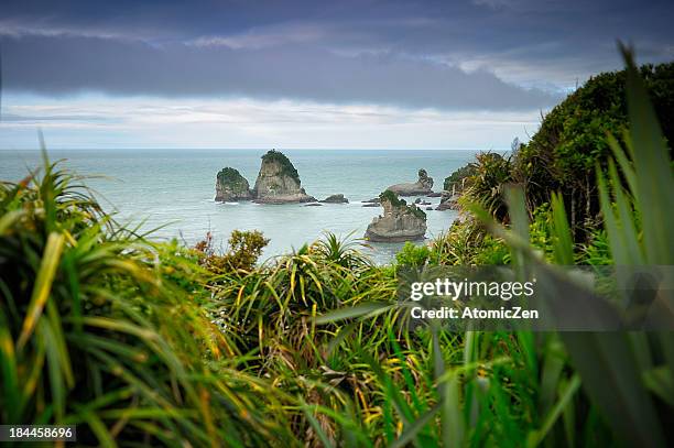 west coastal, south island, nz - グレイマウス ストックフォトと画像